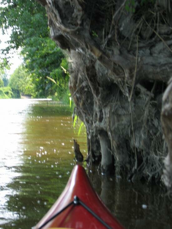 decouverte en kayak decouverte en kayak
