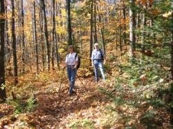 0610_025_Le_brulis_marche_Jo_Marc[1].jpg