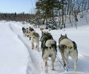 img-4230a.jpg
