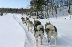 img-4230a.jpg