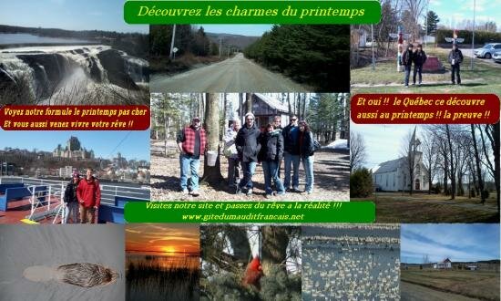 pour-le-printemp-site-1.jpg